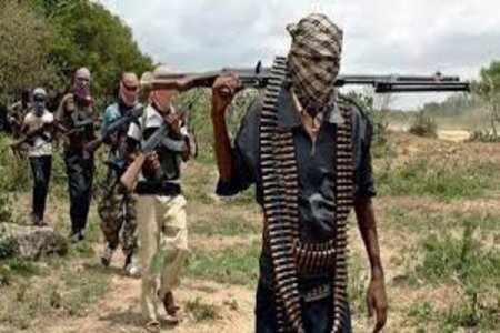 Tragedy Strikes: Boko Haram Ambush Claims Lives of Army Lieutenant and Vigilantes in Lake Chad Attack