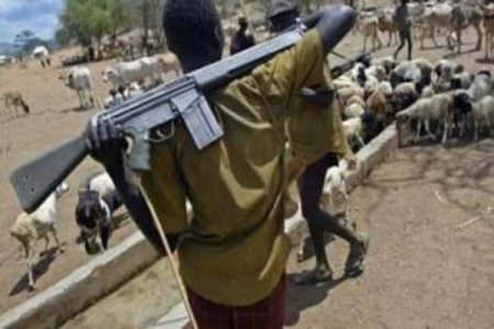 Fear and Frustration Grip Benue as Herdsmen Attacks Escalate, Claiming Over 500 Lives in, Otukpo, Apa Regions