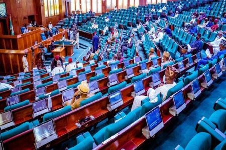 Nigerians Furious  As Lawmakers Oppose Bill To Increase Education Qualification for Office Holders