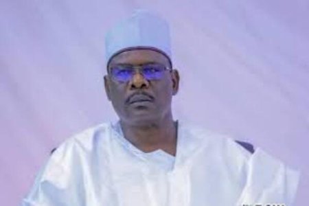 Senator Ndume's Remarks About How FG Are Benefitting From Devaluation of Naira Concerns Nigeria