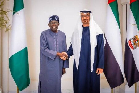 President Tinubu's Spokesperson, Bayo Onanuga, Faces Embarrassment Over False Claims of UAE Visa Restrictions Being Lifted