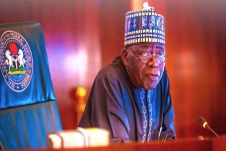 Nigerians Brand Tinubu's Government Confused and Clueless Over Suspension of Expatriate Employment Levy