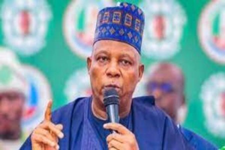 Controversy Arises as Governor Abba Yusuf Reappoints Official Previously Sacked for Trolling VP Shettima