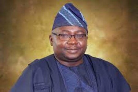 Nigerians Reject Minister Adelabu's Apology for Controversial Remark on Electricity Tariff
