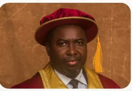 INEC Declares Full Readiness for Anambra Governorship Election, Deploys 24,000 Personnel