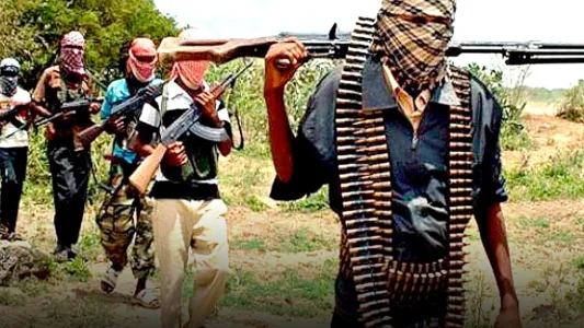 Al-Qaeda Affiliate JNIM Claims First Attack on Nigerian Soil