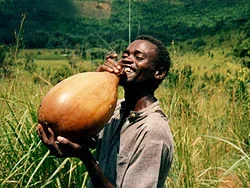 palm wine.jpg