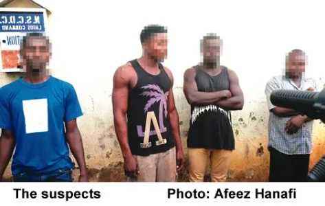 The-suspects.jpg The-suspects.jpg