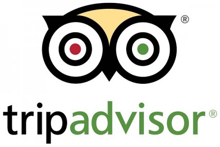 Tripadvisor-shinnyshinny.tv.jpg