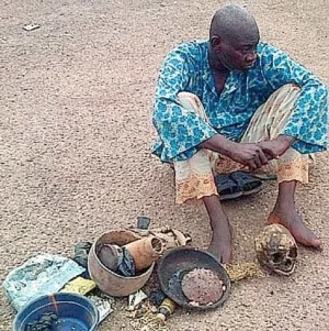 herbalist.jpg herbalist.jpg