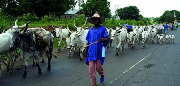 Fulani.jpg Fulani.jpg