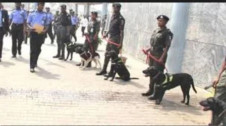 policedogs.JPG policedogs.JPG