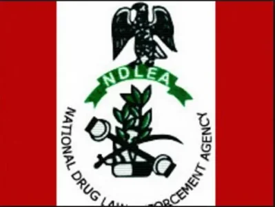 ndlea.JPG ndlea.JPG