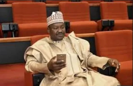 misau.JPG misau.JPG