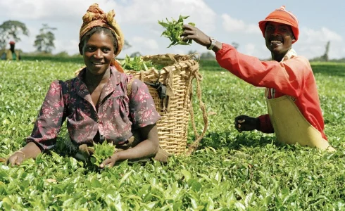 agric.jpg agric.jpg