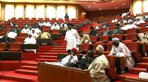 nigerian senate.jpg