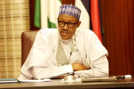 Billedresultat for president buhari in office