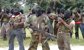 niger delta avengers 2.jpg niger delta avengers 2.jpg