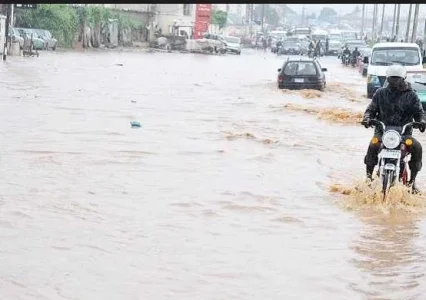 flood.JPG flood.JPG