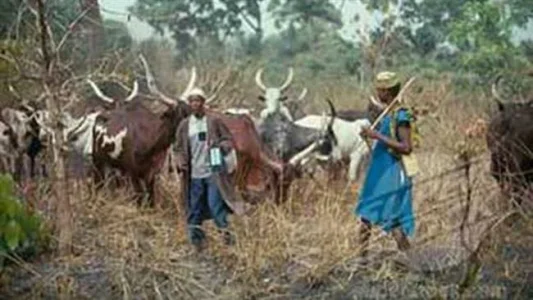 Kaduna: Suspected Herdsmen Murder 6 in Christian Community