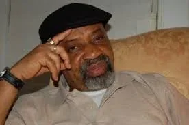 ngige.jpg