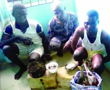Herbalist, Alfa Land in Police Net For Killing 16-year-old Girl