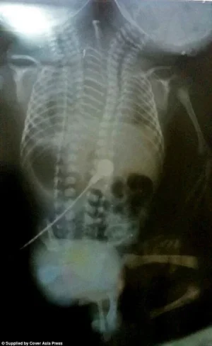 2 HEAD BABY.jpg