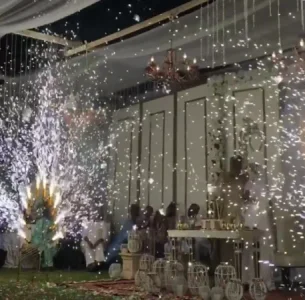 INDIMI SUPRISE 2.png