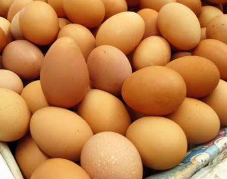  Price of Egg To Crash As Osinbajo Plans Urgent Relief For Poultry Industry