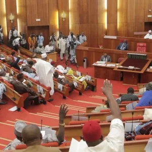 Nigerian Senate To Expel DSTV, MTN, Shoprite Over Xenophobic Attacks