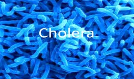cholera.PNG cholera.PNG