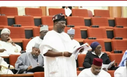dino melaye standing.jpeg dino melaye standing.jpeg