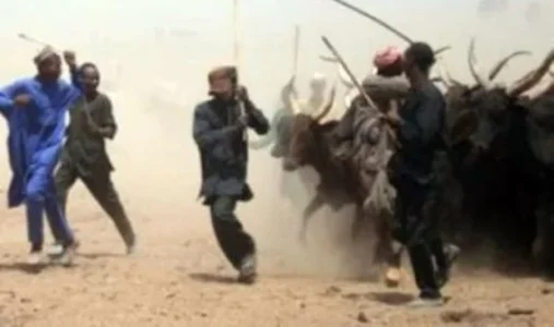 herdsmen 2.png herdsmen 2.png