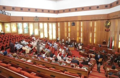 nigerian-senate-690x450.jpg nigerian-senate-690x450.jpg