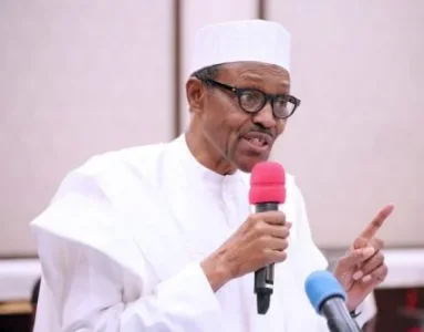 Bildergebnis für Buhari submits names of Abia, Imo, Ondo NDDC nominees to Senate