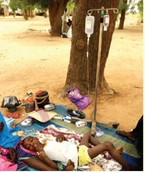 meningitis zamfara 1.PNG meningitis zamfara 1.PNG