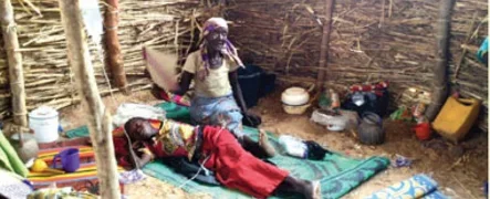 meningitis zamfara 2.PNG meningitis zamfara 2.PNG