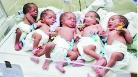 quintuplets.PNG quintuplets.PNG