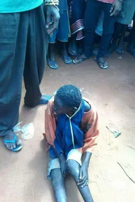 GHANA CREATURE B.jpg GHANA CREATURE B.jpg