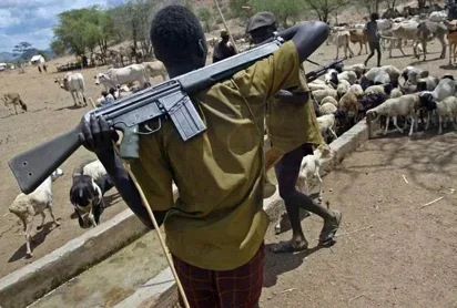 fulani herdsman with gun.jpg fulani herdsman with gun.jpg