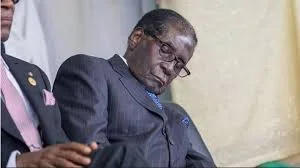 Mugabe light.jpg