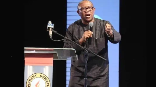 Nigeria is Living on Borrowed Money, May Collapse Soon- Ex Gov Obi