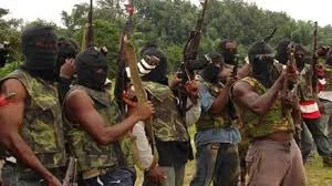 militants militants.jpg militants militants.jpg