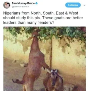 brucey.jpg