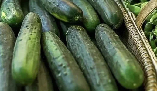 cucumberrrr.PNG cucumberrrr.PNG