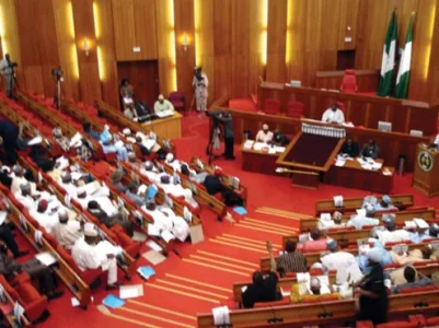 Constitution Fix: Nigerians Aged 35 to Contest for Presidency