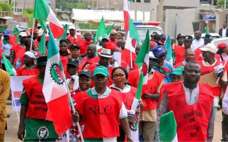 www.informationng.com
